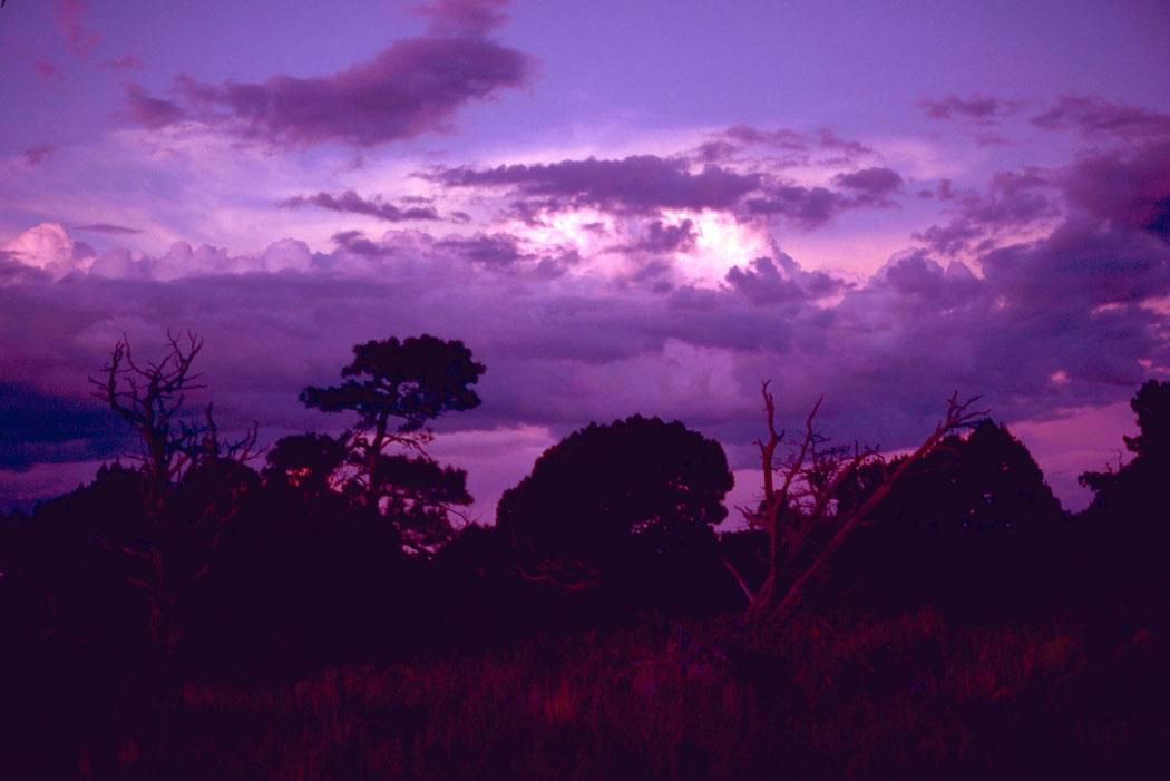 purple-skies-over-carlsbad-caverns-national-park-new-mexico.jpg