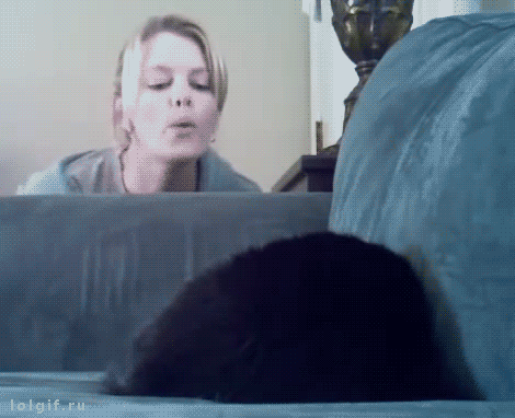 c01bce5157535a5b3dadaff1815c69a0.gif