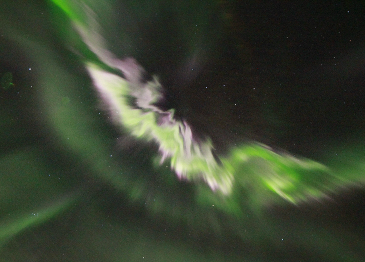 Geir-Svendsen-IMG_6655_1601084225_lg.jpg