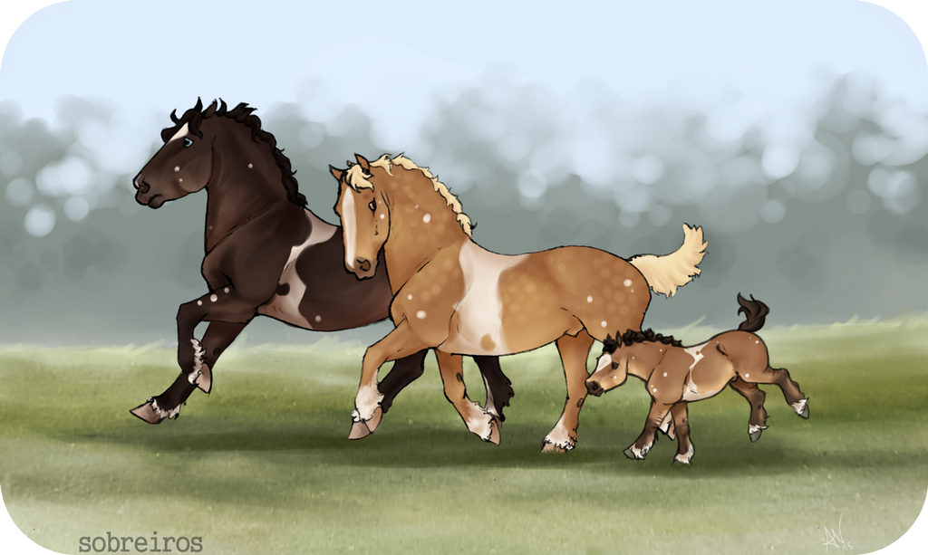 end_and_start_again_by_sobreiros-d8mbbdo.png