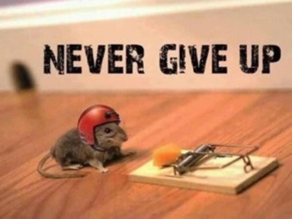 Never-give-up-quotes.jpg