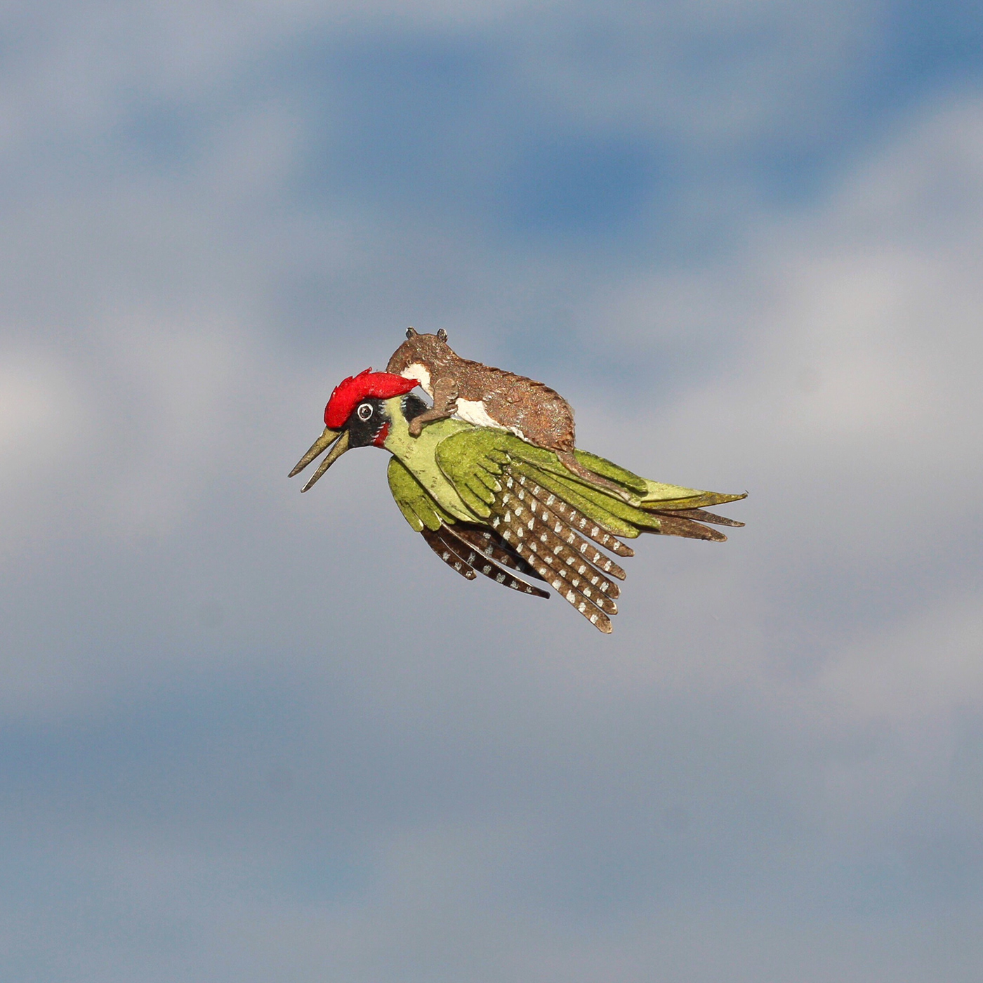 Baby Weasel riding a Green Woodpecker | Behance