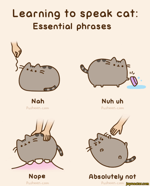 pusheen-comics-cat-gif-1180358.gif