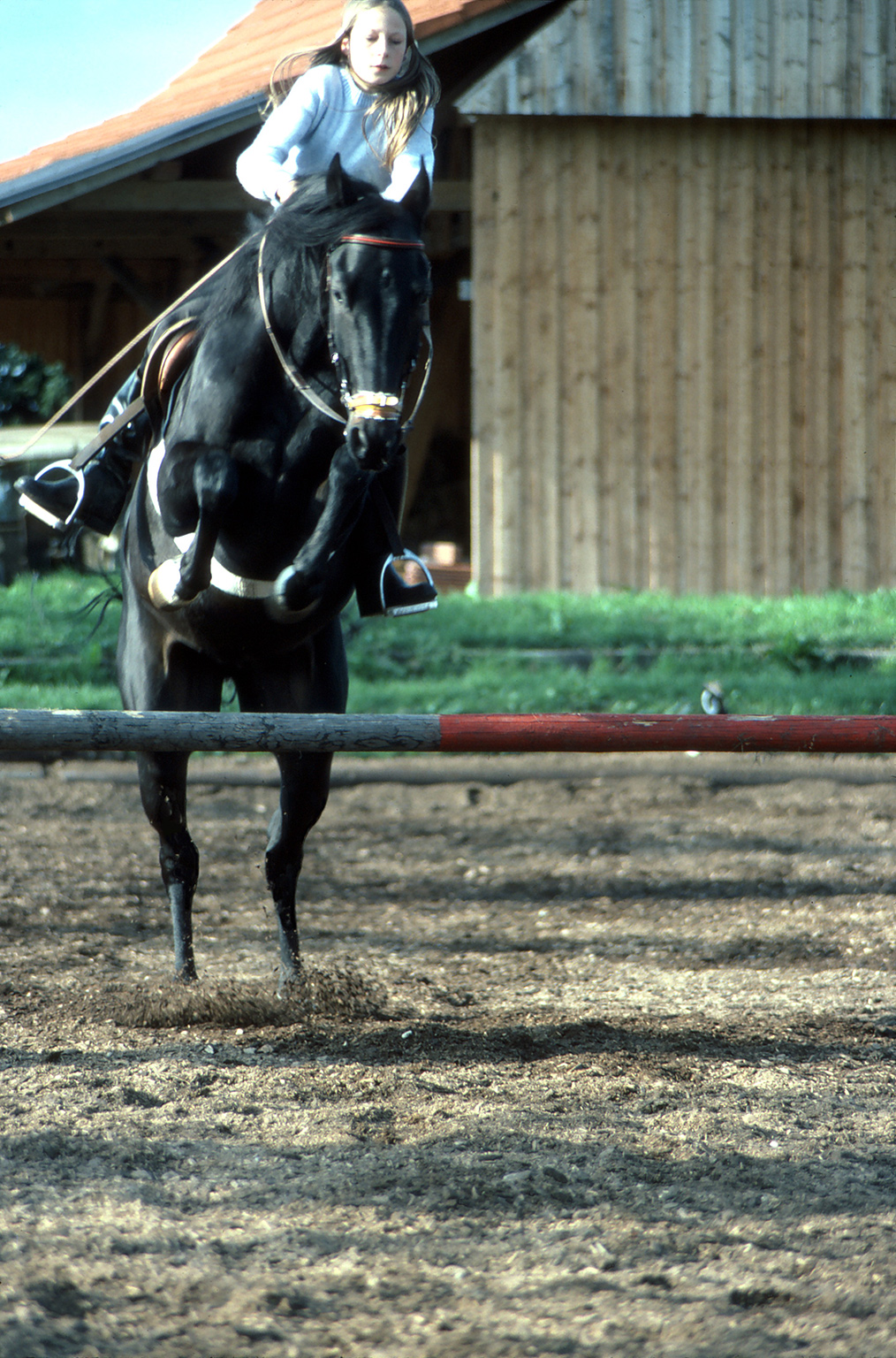 SET01_Sue_jumping_Mingo_01.jpg
