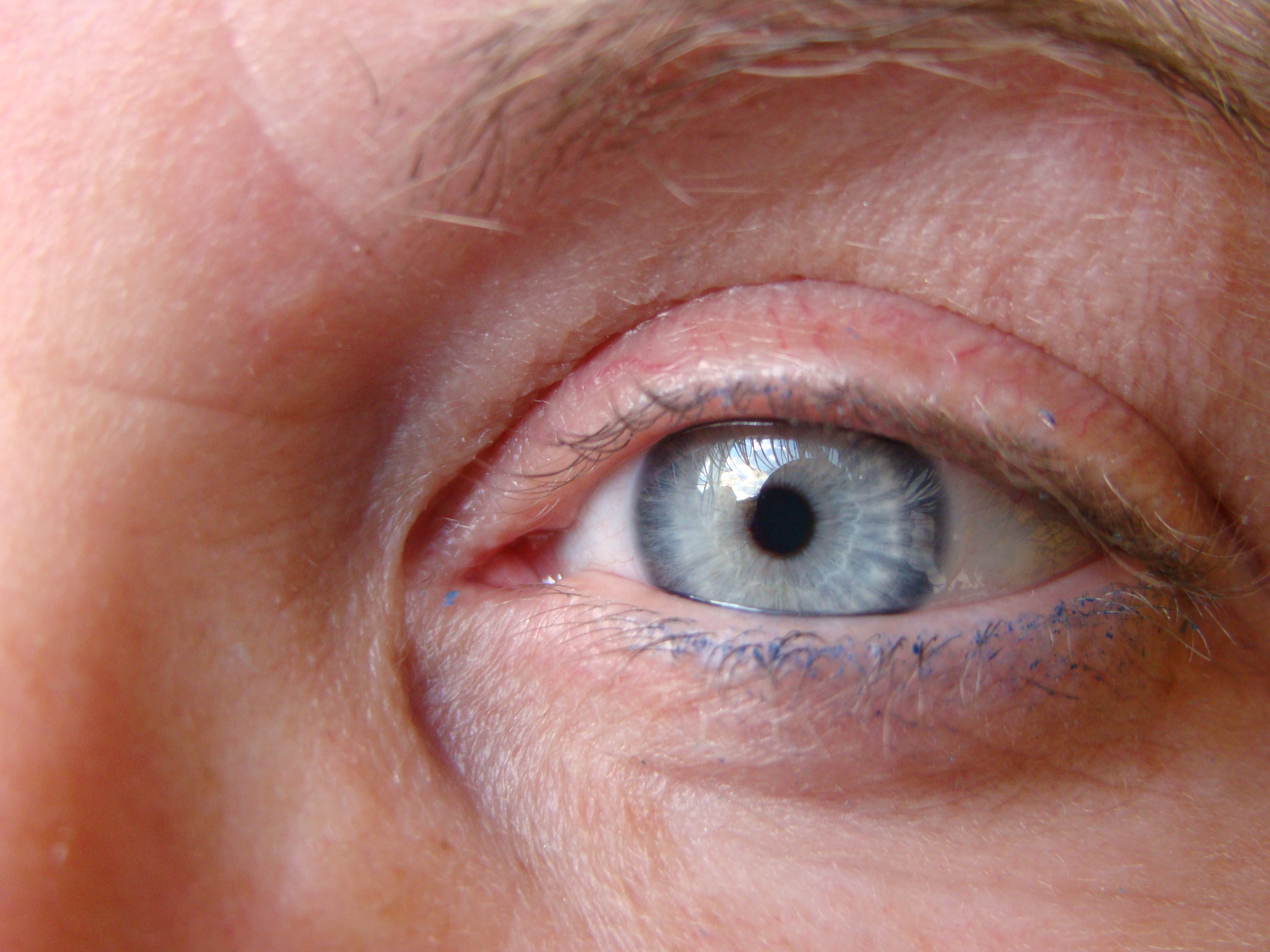 BrightBlueEyes.JPG