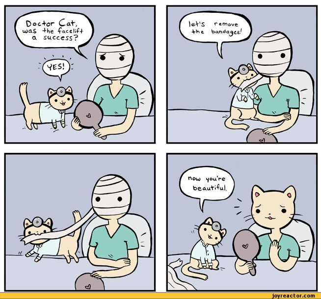 comics-doctorcatmd-surgery-face-657580.jpeg