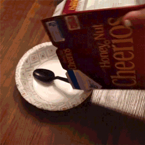 My favorite cereal is frosted sneks : r/Sneks