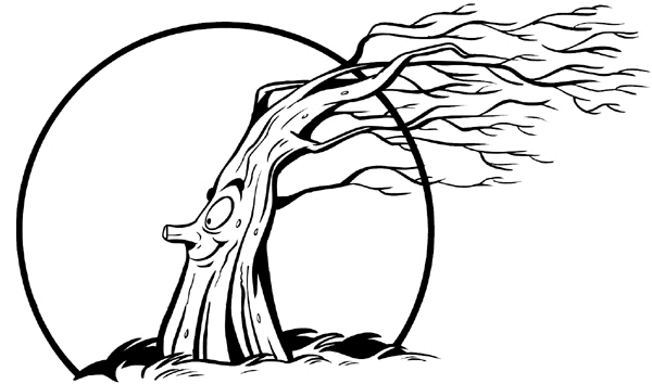 Autumn%20Fall%20006-0186.gif