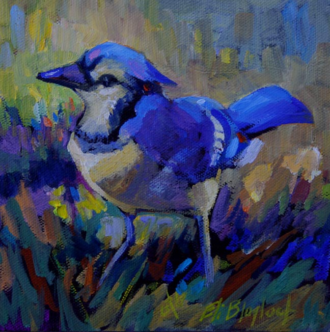 BLUEJAY.jpg