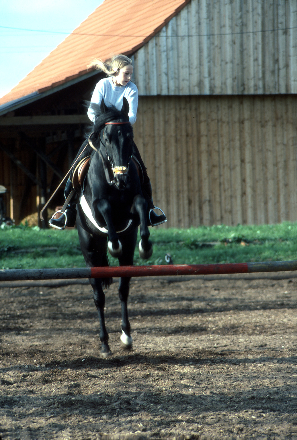 SET01_Sue_jumping_Mingo_02.jpg
