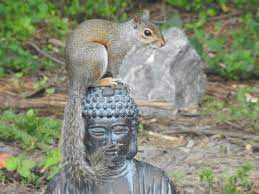 Just a squirrel sitting on the Buddha : r/aww