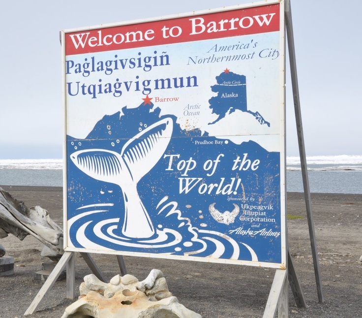 8c7b806859a0b8adac0f7f75e0eec751--st-day-barrow.jpg