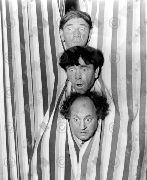 Shemp (the top one) was the next best. Had such a great style all his own.  | The three stooges, The stooges, Short subject