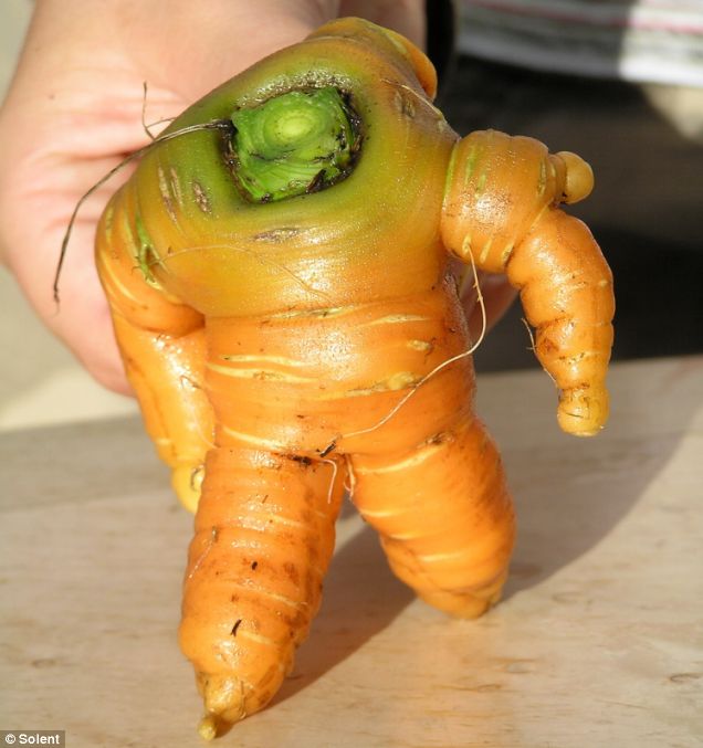 creepiest-carrot-ever.jpg