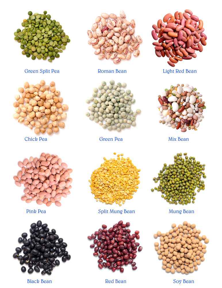Legumes.jpg