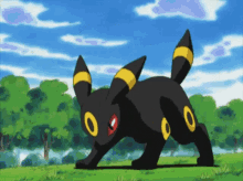tenor.gif