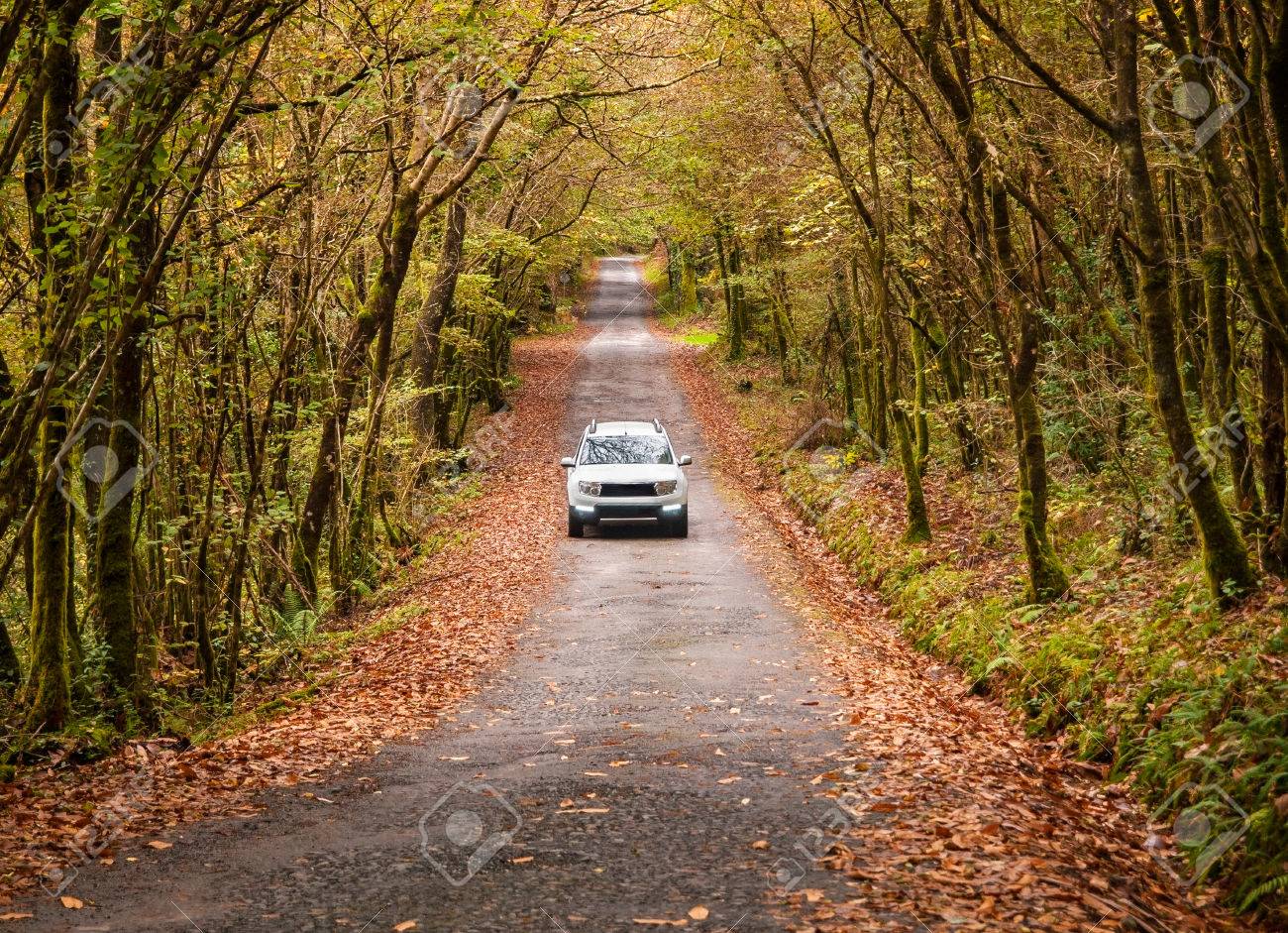 24158618-Car-on-a-road-in-the-forest-in-autumn--Stock-Photo.jpg