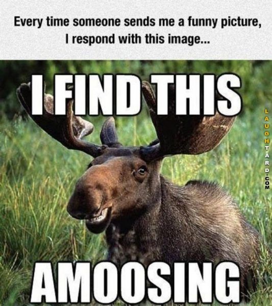 719a4f3b83eec61c87791622ce347851.jpg