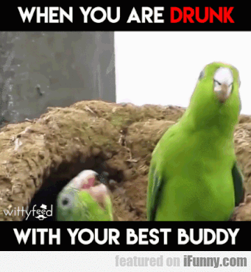 3e2ddea60bb06059fa0ffc906d059d69.gif