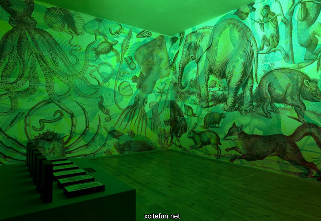216812,xcitefun-diffrent-color-lights-rgb-on-art-paintin.jpg