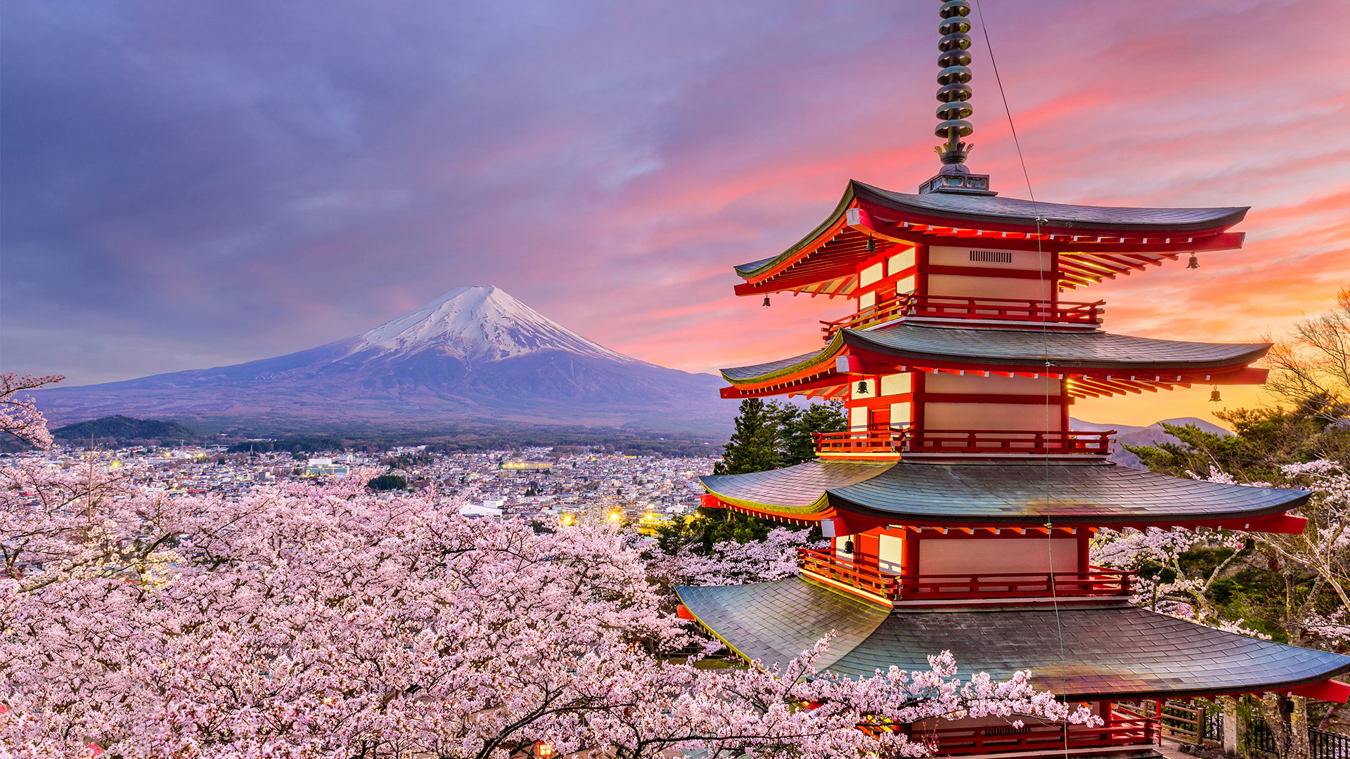 Your-ultimate-guide-to-Tokyo-Japan1.jpg