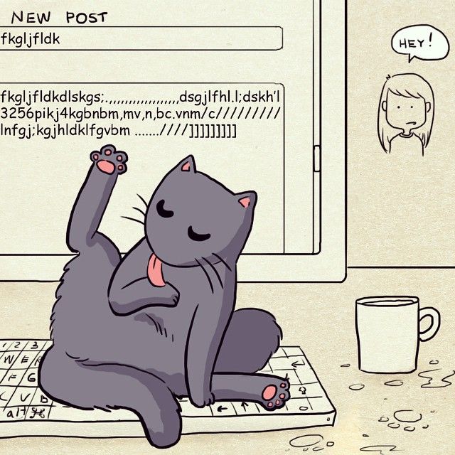 70b1ea2f8a50932fb28e83c06afd2509--doodle-art-cats-humor.jpg