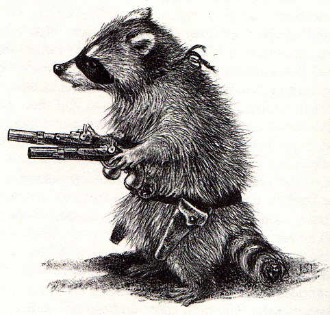 raccoon_robber.jpg