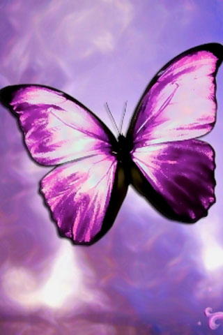 Purple+Butterfly+Wallpaper+for+iPhone.jpg