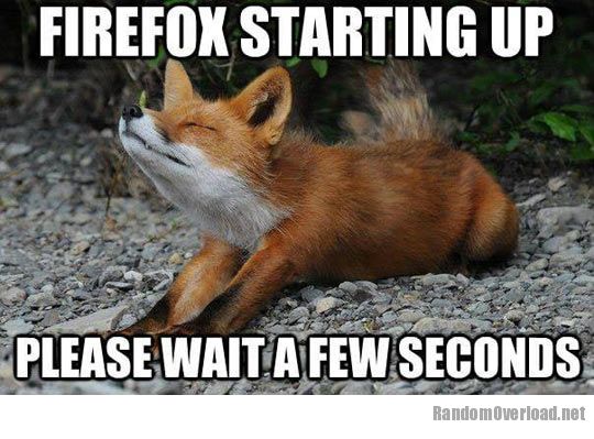 e285funny-Firefox-fox-red.jpg