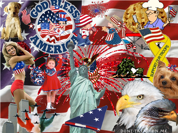 601x450px-LL-254c0121_The-Most-Patriotic-Picture-Ever1.png