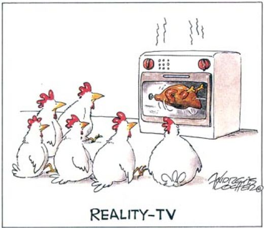 funny-chicken-reality-tv.jpg