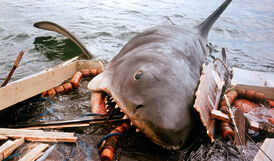 274px-Jaws-shark-eating-boat.jpg