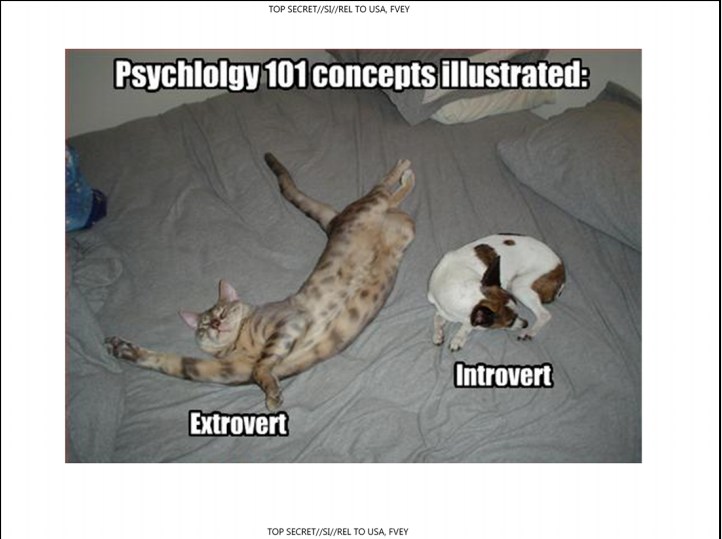 Extrovert-Introvert.jpg