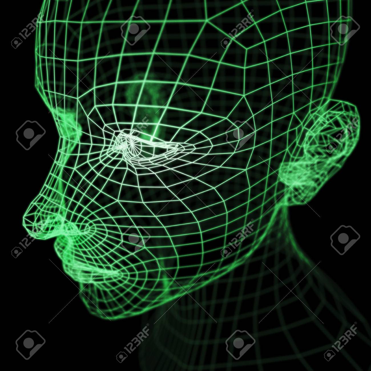 39148779-A-computer-generated-imagery-of-a-polygonal-human-head-model-rendered-with-wireframe-style-Greenish--Stock-Photo.jpg