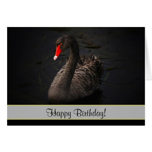 happy_birthday_beautiful_black_swan_note_card-r090f3abd77e942f0b676a3d452fd20dd_xvua8_8byvr_512.jpg