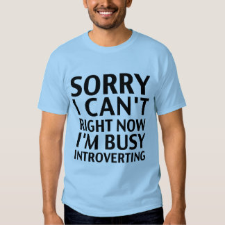 sorry_i_cant_right_now_t_shirt-r9815156951a143c6b0cf3fac2f94e717_jg45y_324.jpg