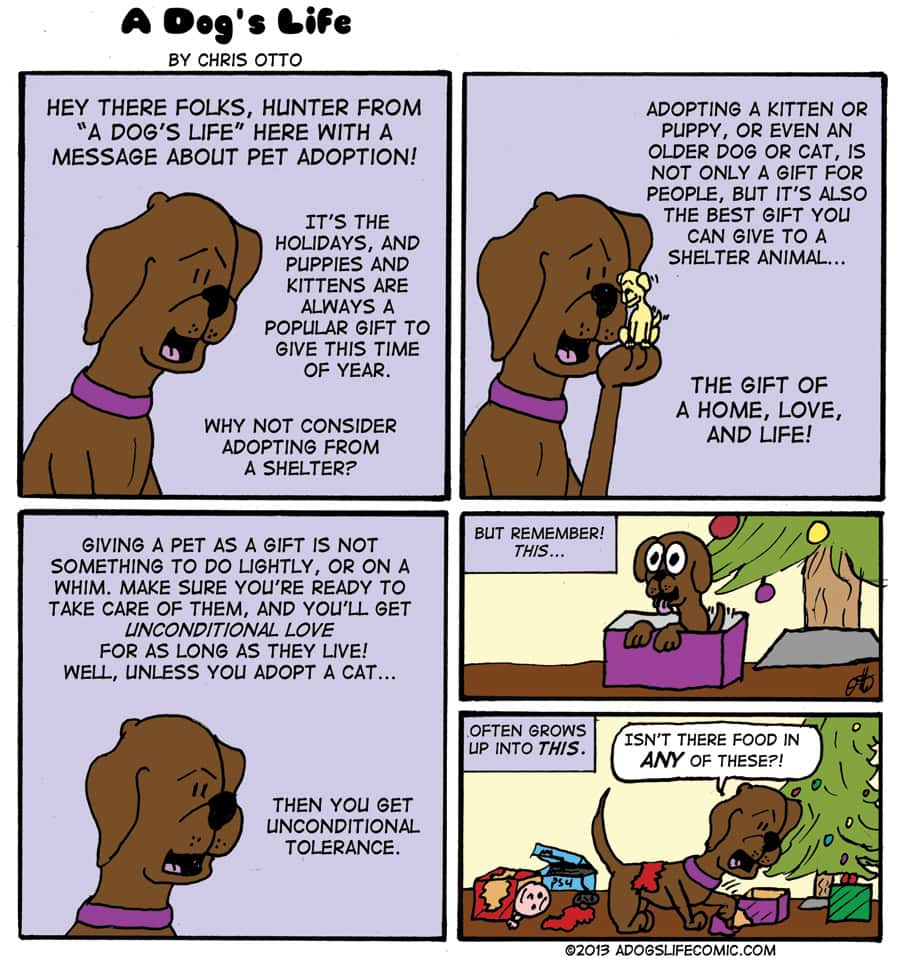 A-dogs-life-comic.jpg