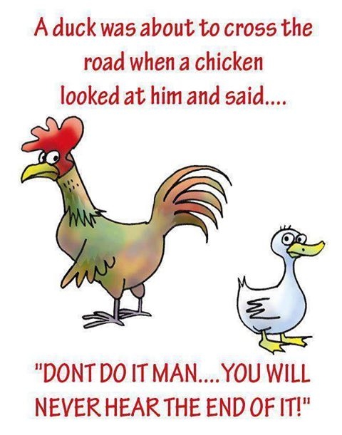 38769-Chicken-Joke.jpg