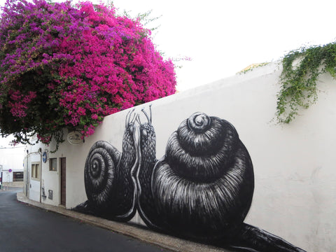Artist Series: The Artwork of ROA, From Streets to Gallery | sprayplanet