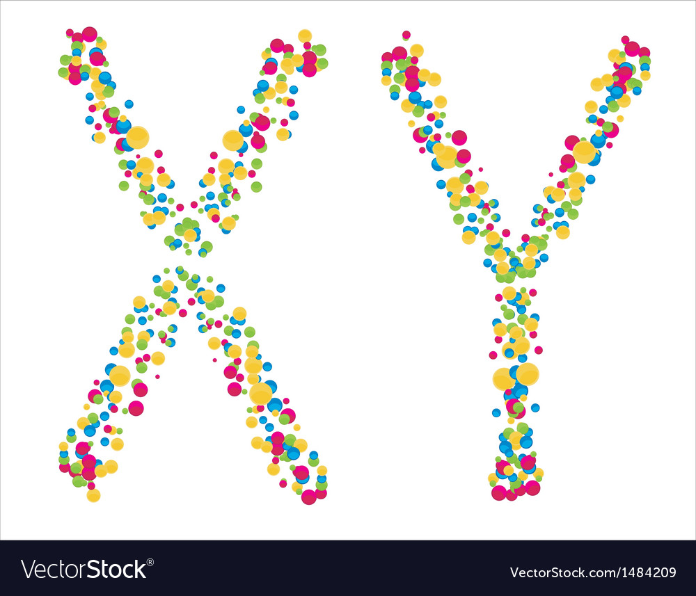 chromosomes-x-y-on-a-white-background-vector-1484209.jpg