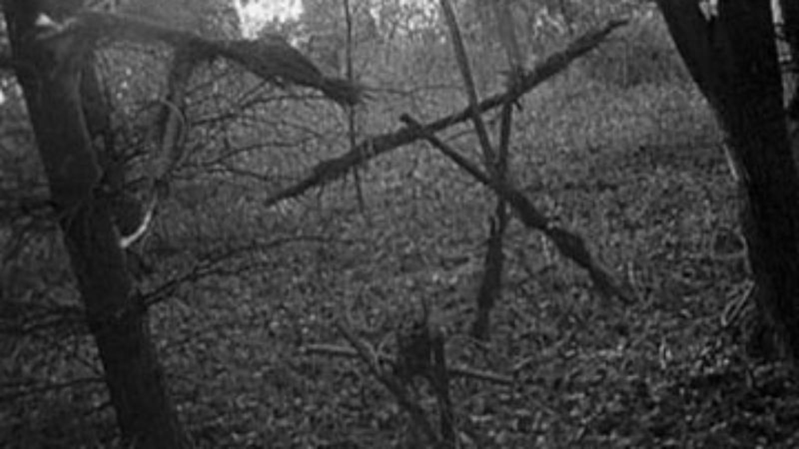 The Blair Witch Project | Classic Film Review