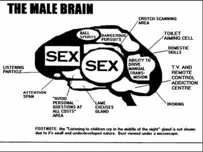 male-brain-1.jpg