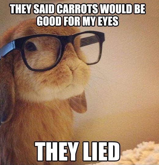 carrots-bunny-glasses.jpg