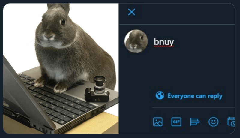 laptop-x-bnuy-everyone-can-reply-gif