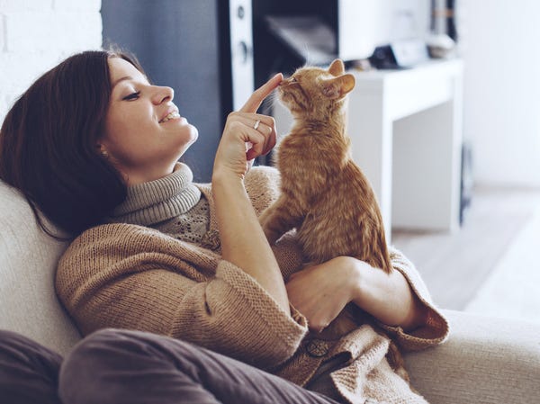 How 'Cat People' and 'Dog People' Are Different