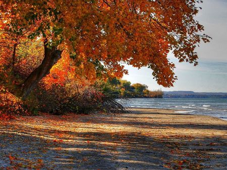 Who wants to go to the beach in the fall? - beach, fall | Beach wallpaper,  Fall beach, Fall wallpaper