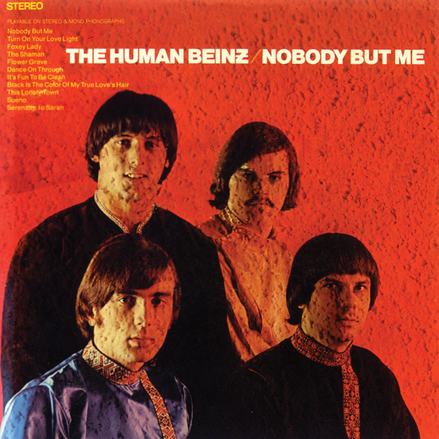 Nobody But Me - song and lyrics by The Human Beinz | Spotify