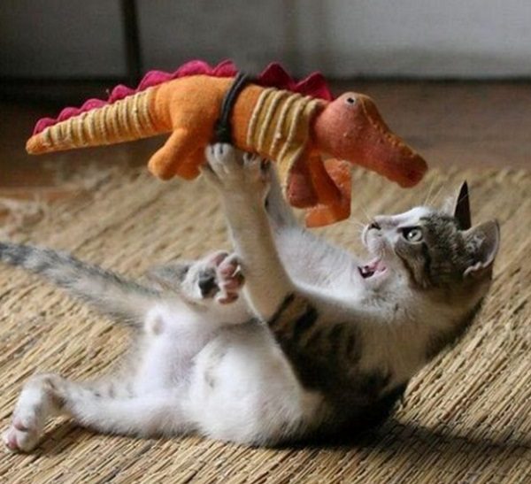 Ten Terrifying Cats Attacking Their Toy Plushies