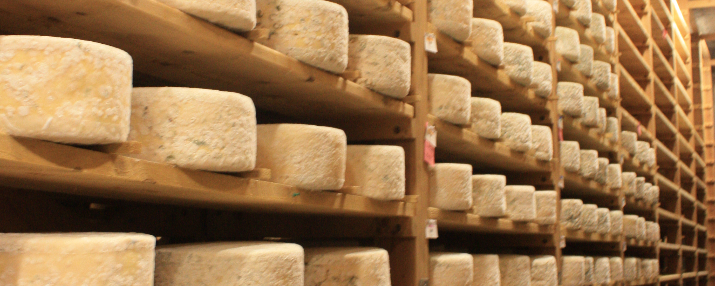 Vermont's Cheese Trail: The Best Cheese in Vermont - Travel Like a Local:  Vermont