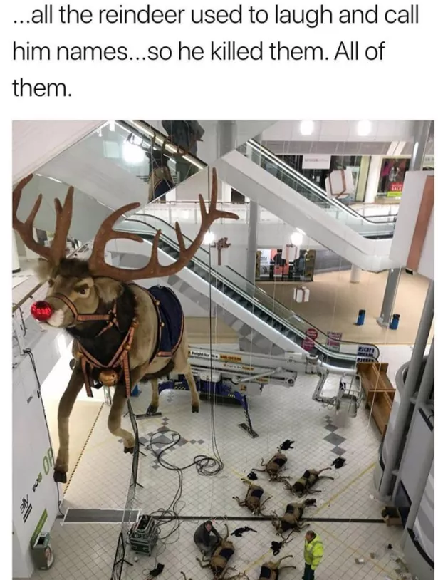 ReindeersPNG.png